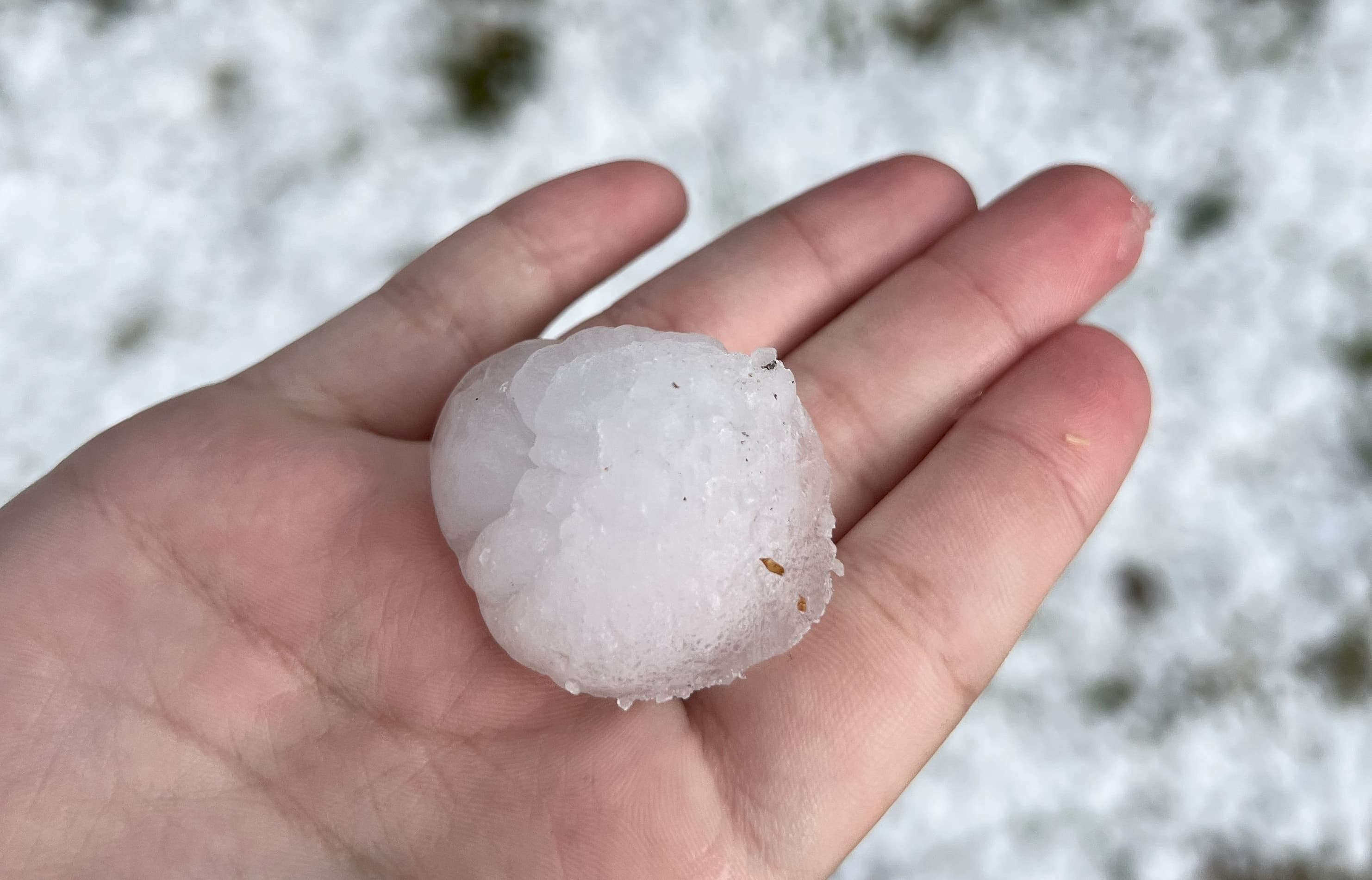 Hail Damage